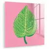 Illustratie - Blad - Minimalistisch - Groen plexiglas 5mm klein -zzzproduct_nieuw