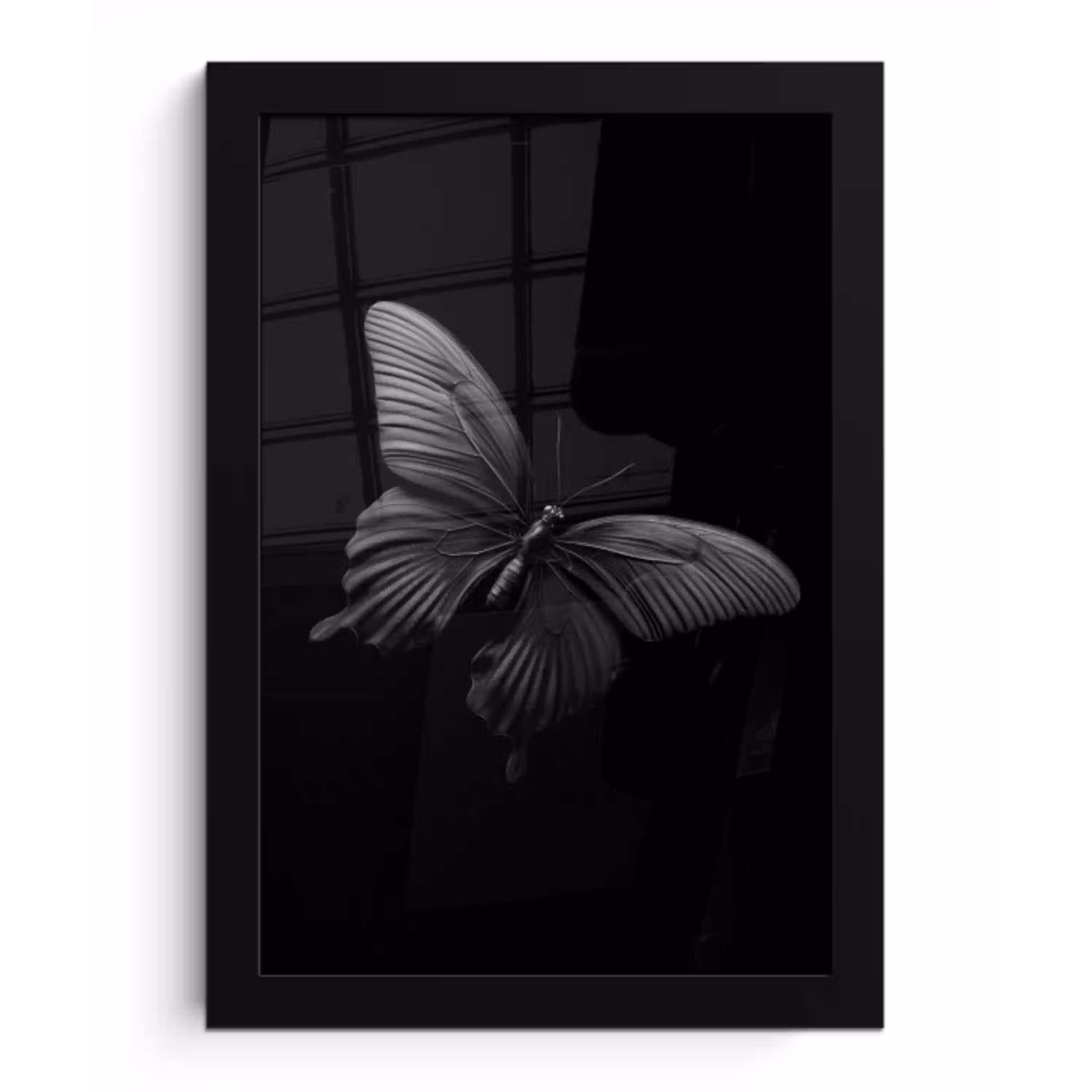 Vlinder - Zwart - Insect - Dieren fotolijst zwart zonder passe partout klein -3d