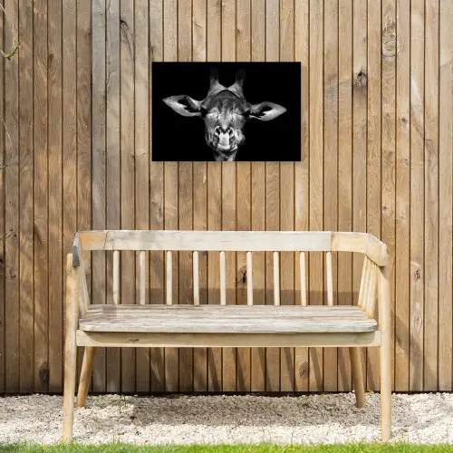 Giraffe portret in zwart-wit Tuinposter op houten frame 2 cm dik klein -sfeer4