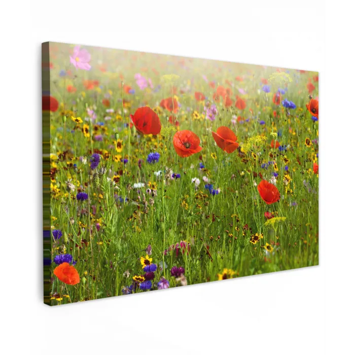 Lente - Bloemen - Rood - Klaproos - Gras - Groen canvas 2cm klein -z3d