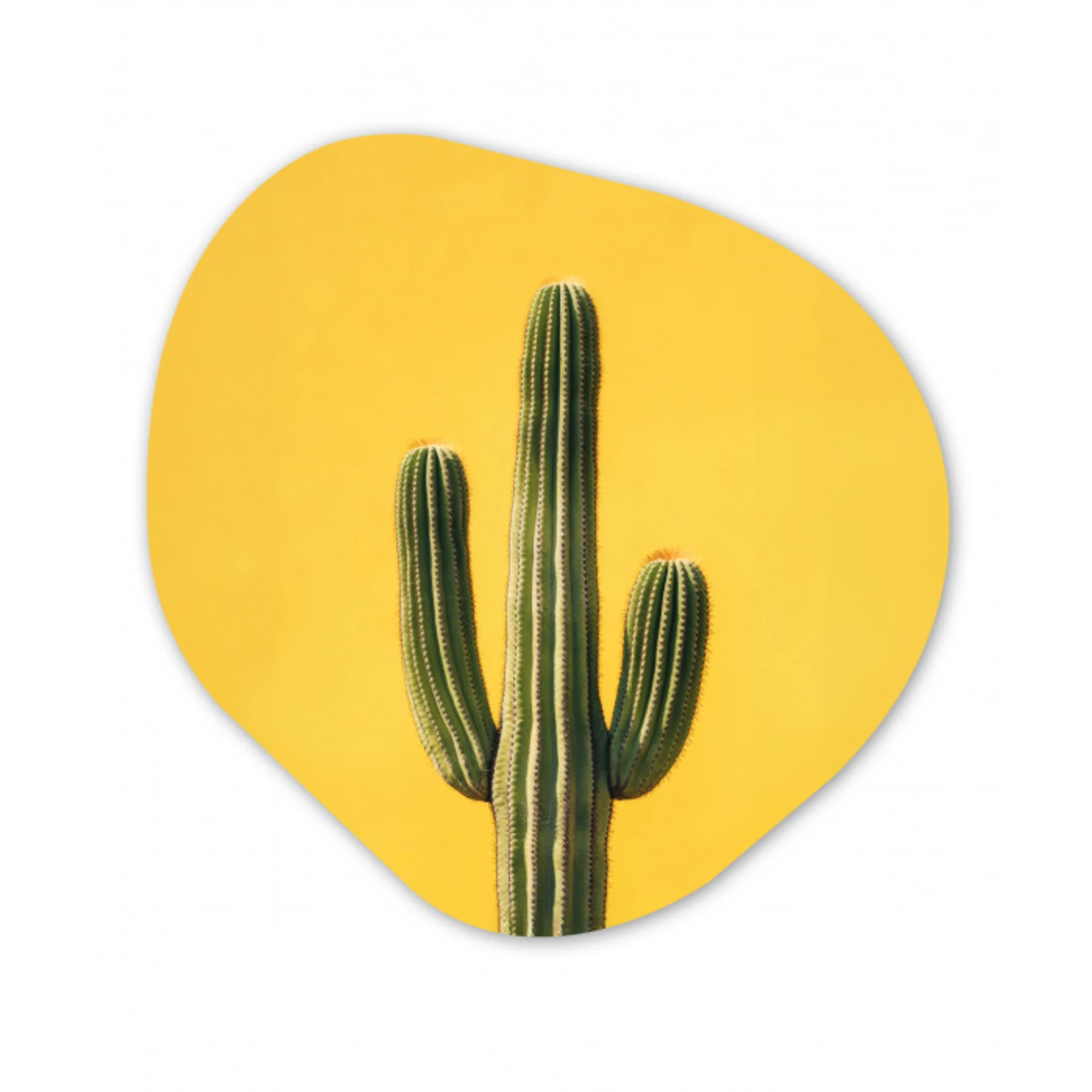 Cactus - Groen - Minimalistisch Wandcirkel Organisch Forex 3mm klein -3d