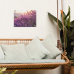 Lavendel - Paars - Zonlicht tuinposter los doek klein -sfeer7