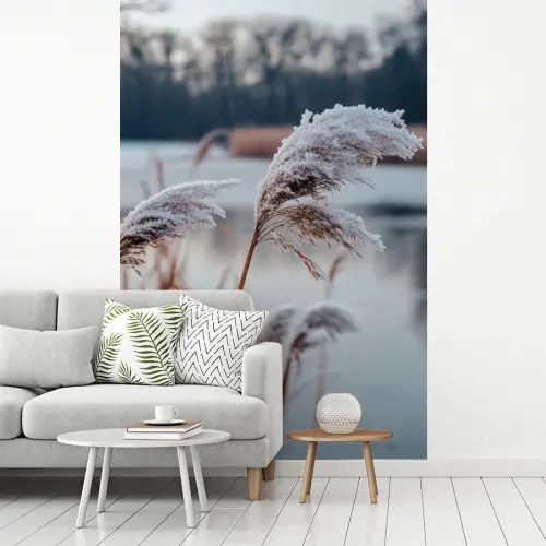 Riet - Gras - Natuur - Winter - Meer fotobehang vinyl groot -woonkamer