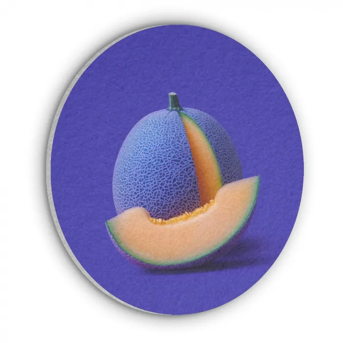 Meloen - Blauw - Oranje - Kunstzinnig Akoestische PET Vilt - Rond klein -3d