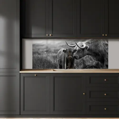 Schotse hooglander - Kalf - Zwart - Wit keuken achterwand 2 middel -sfeer1