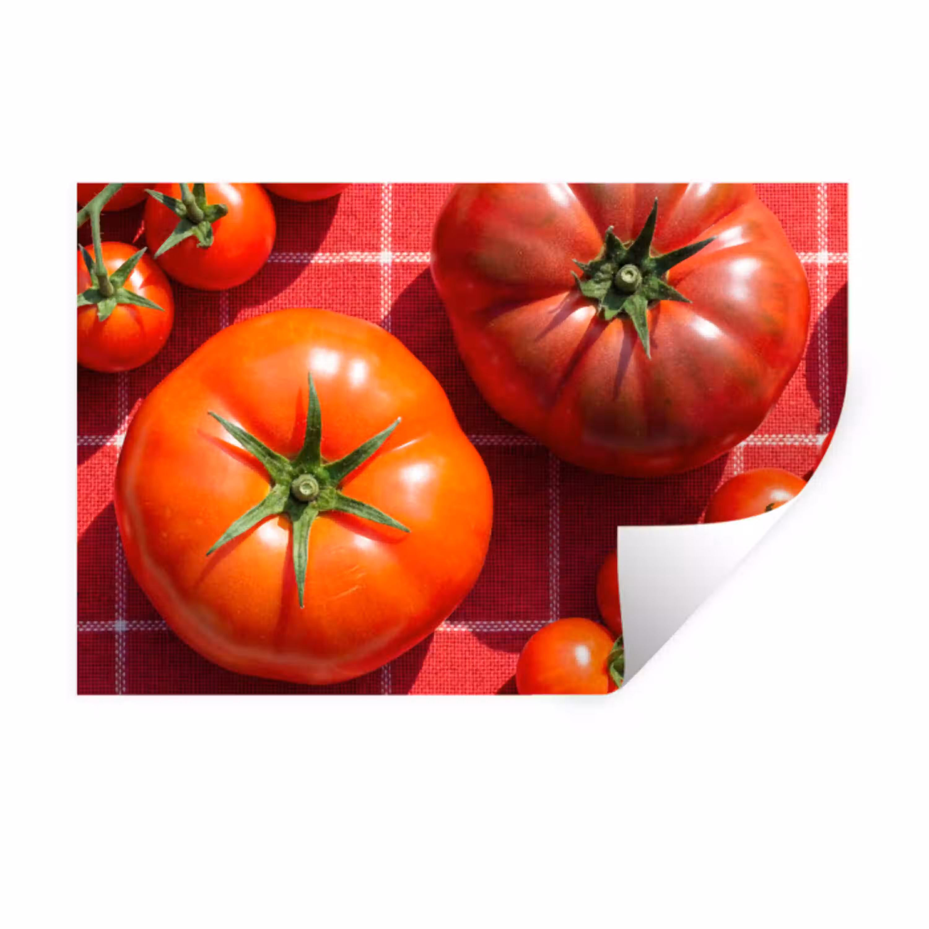 Tomaat - Rood - Eten Muursticker klein -3d