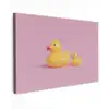 Eendjes - Vrolijk - Roze canvas 2cm klein -z3d
