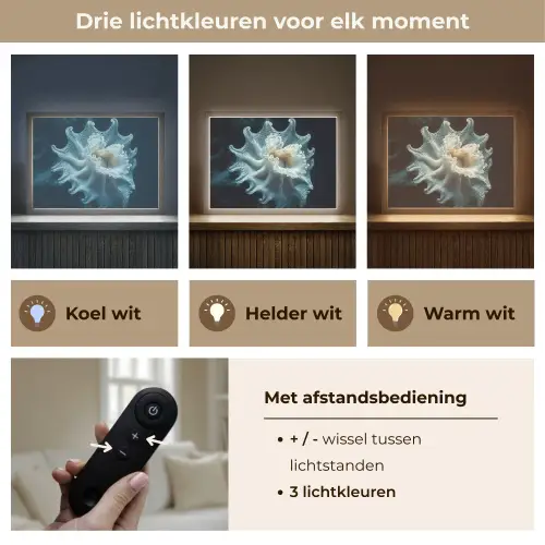 Zeewezen - Wit - Golven - Water Light Box met batterij (Wandlamp) middel -USP_lichtkleurNL
