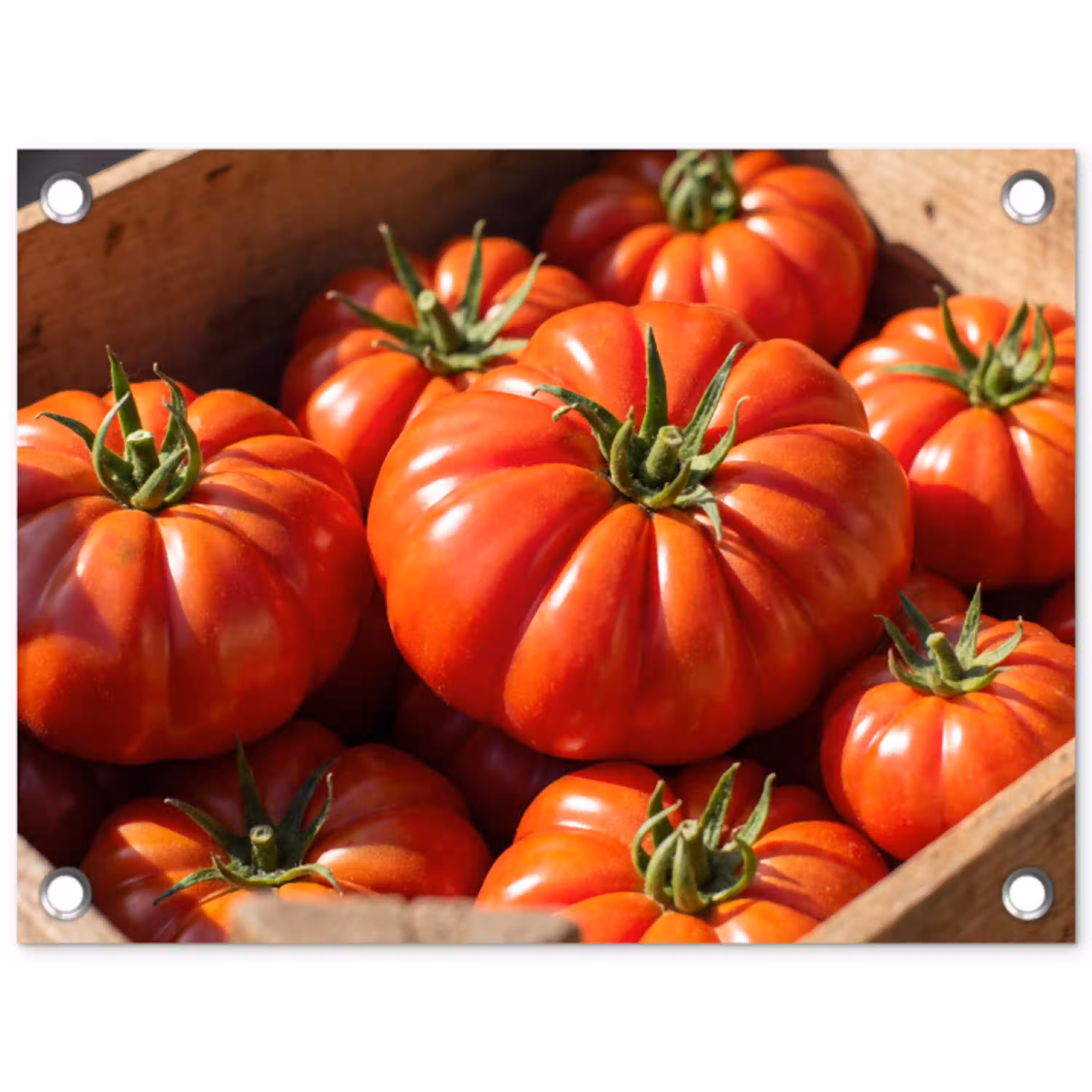 Tomaat - Houten - Kist tuinposter los doek klein -3d