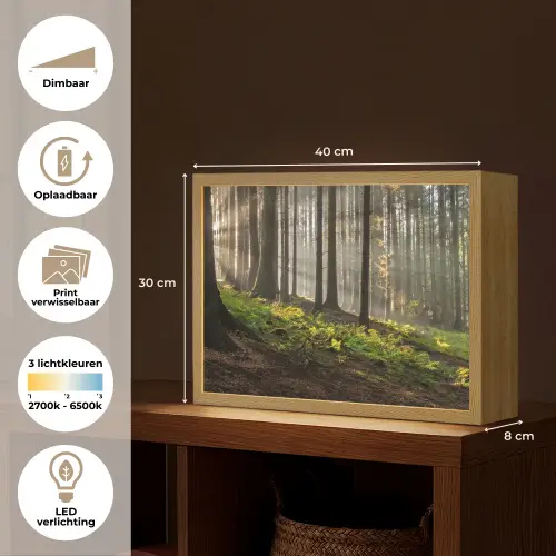 Zon - Takken - Bomen - Bos - Natuur Light Box met batterij (Wandlamp) middel -USP_websiteoverzichtNL