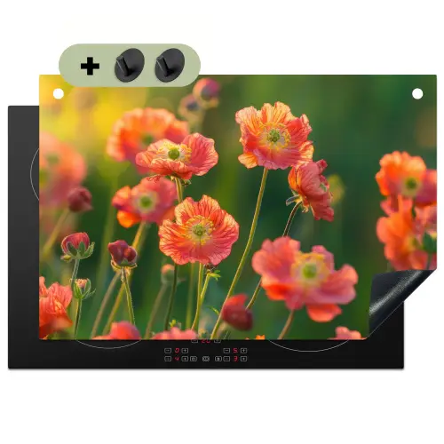 Bloemenveld - Zonnestralen - Oranje Inductie beschemer met haakjes klein -3d