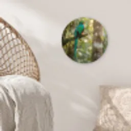 Quetzal - Jungle - Natuur - Groen Wandcirkel kunststof plaat 5mm dik klein -sfeer5