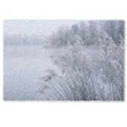 Riet - Bevroren - Winter - Natuur Deurmat klein -zkaufland3d
