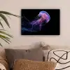 Kwal - Doorzichtig - Roze - Tentakels canvas 2cm klein -sfeer1
