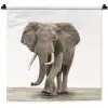 Olifant - Kinderen - Jongens - Dieren - Meisjes Wandkleed katoen klein -zz3d