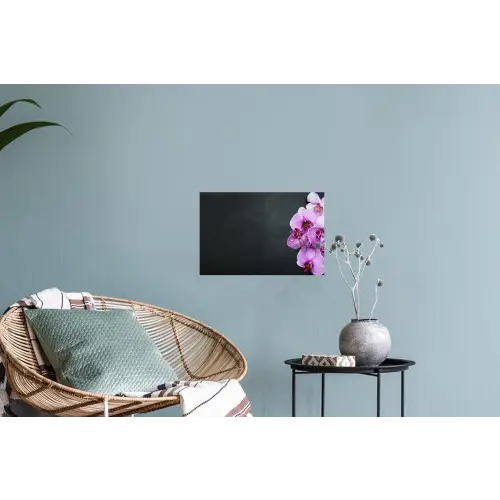 Orchidee - Bloemen - Roze - Flora Muursticker klein -plant