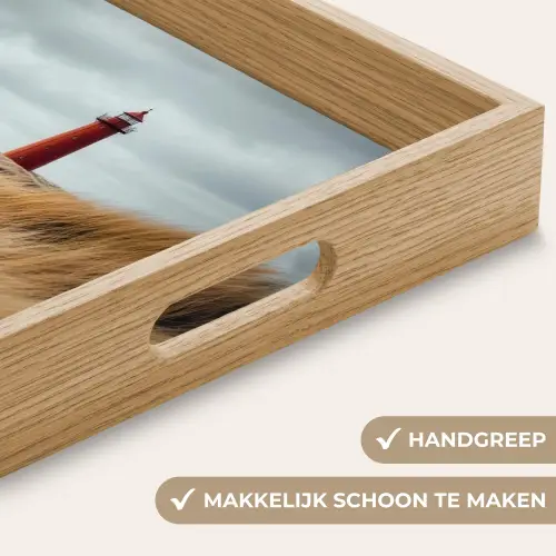 Duinen - Vuurtoren - Rood - Lucht Dienblad Rechthoek middel -USP_HandgreepNL