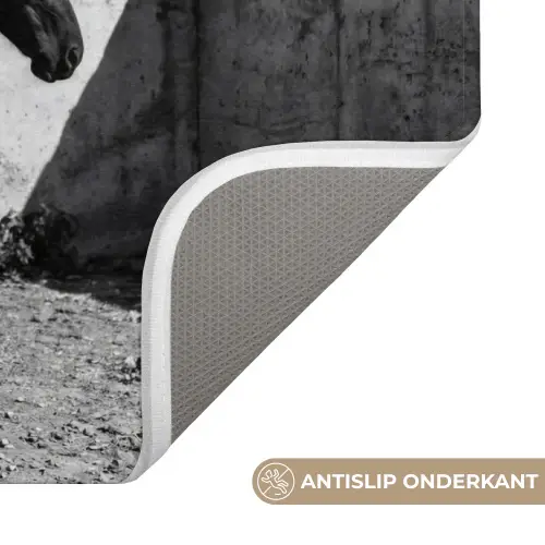 Vrouw - Paard - Artistiek Badmat klein -USP_AntislipNL