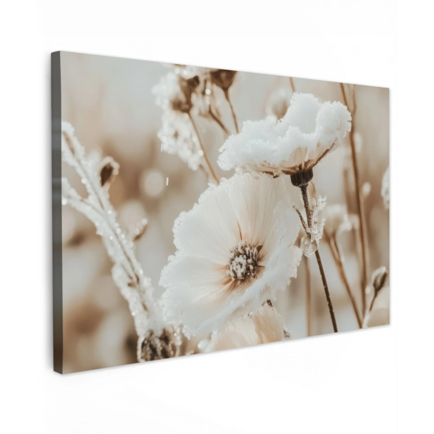 Bloemen - Winter - Wit - Sneeuw - Beige Tuinposter op houten frame 2 cm dik klein -3d