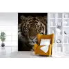 Tijger - Wilde dieren - Portret fotobehang vinyl groot -stoel