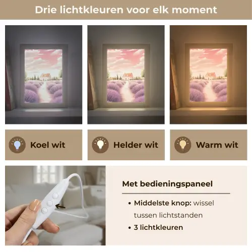 Lavendelveld - Huis - Paars Light Box met kabel (Tafellamp) klein -USP_lichtkleurNL