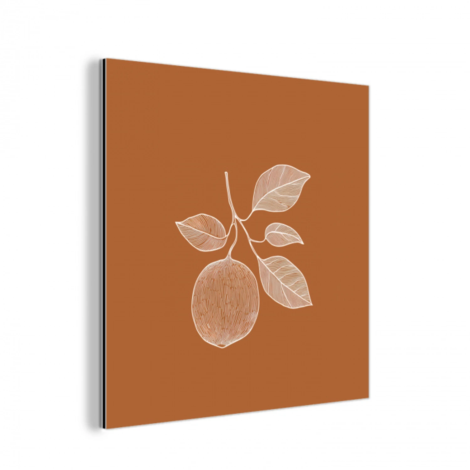 Sinaasappel - Getekend - Bladeren - Bruin aluminium wit klein -3d