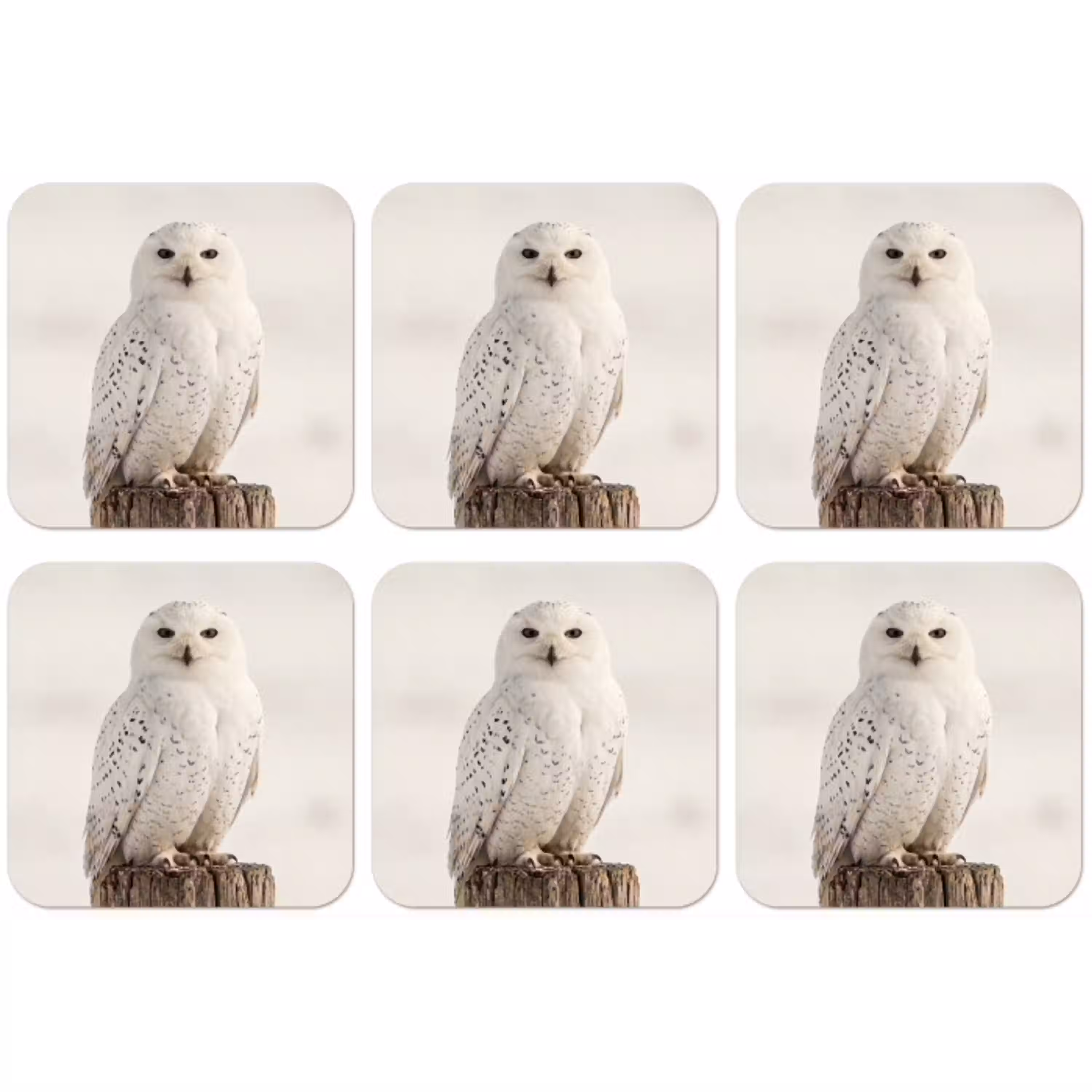 Sneeuwuil - Paal - Winter - Portret - Majestueus onderzetter kurk middel -zkaufland3dotto