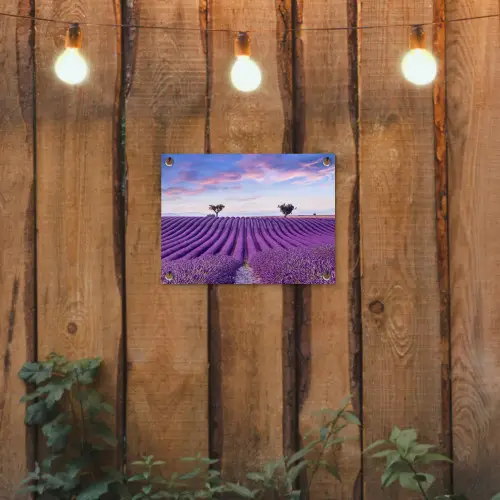 Lavendel - Natuur - Paars - Bomen - Bloemen tuinposter los doek klein -sfeer1
