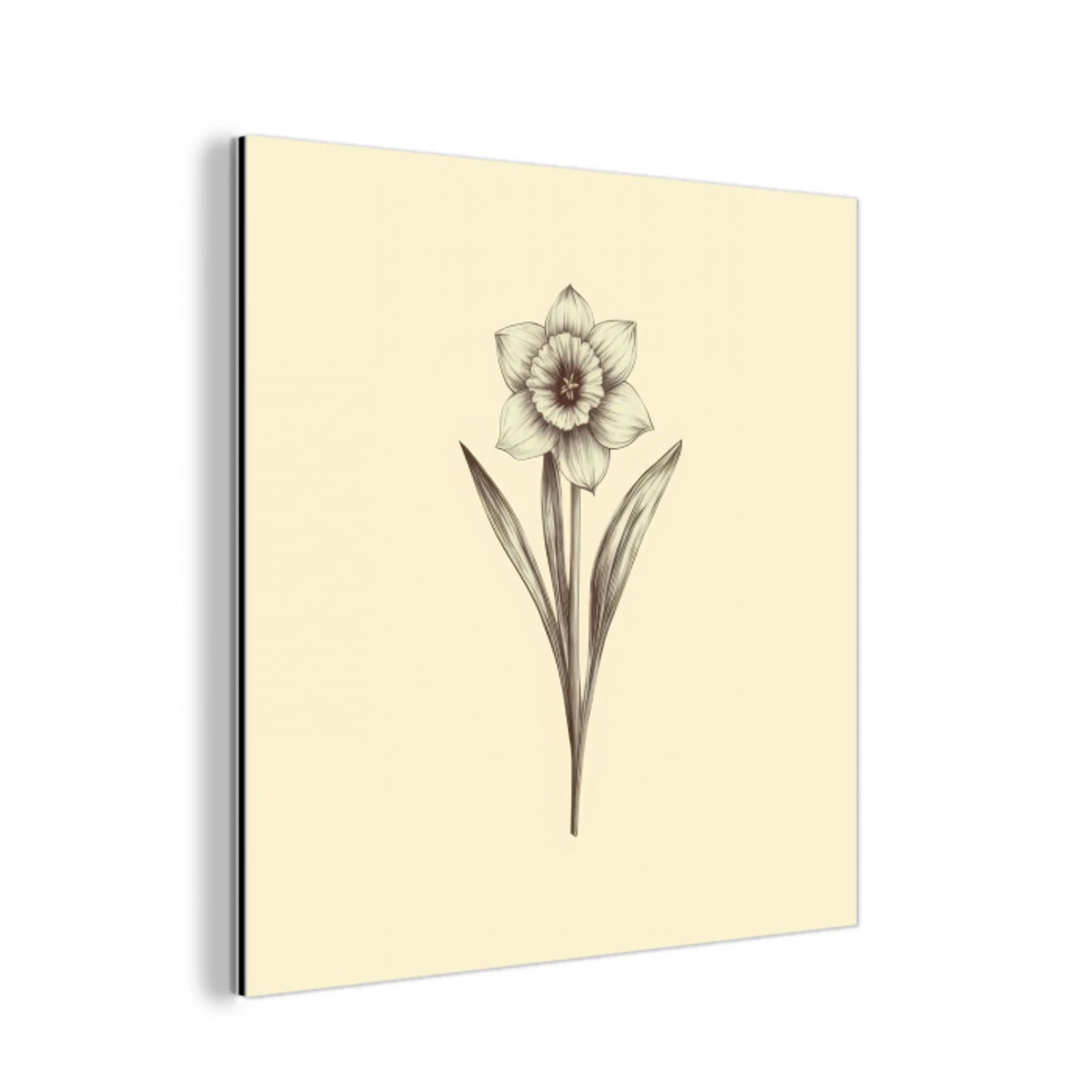 Zwart - Narcis - Illustratie aluminium wit klein -3d