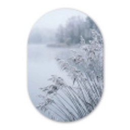 Riet - Bevroren - Winter - Natuur Wandcirkel Ovaal Forex klein -3d