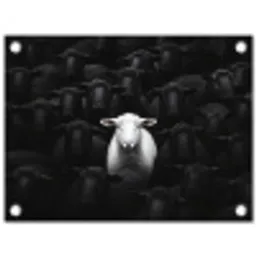 Schapen - Wit - Duisternis tuinposter los doek klein -3d