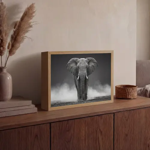 Olifant - Zwart - Wit - Rook Light Box met batterij (Wandlamp) middel -sfeer2