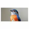 Kleurrijk - Vogeltje - Veren - Blauw Muismat XXL klein -3d_leeg