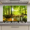 Bos - Landschap - Water - Bomen - Zon - Groen - Natuur keuken achterwand spatscherm klein -3d_website