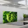 Groente - Sla - Groen keuken achterwand spatscherm klein -3d_schuin