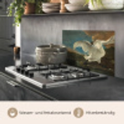 Zwaan - Oude meesters - Jan Asselijn keuken achterwand spatscherm klein -usp_DE