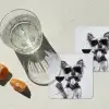 Hondje - Wijnglas - Zonnebril - Enthousiast onderzetter kurk middel -sfeer4
