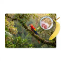 Ara - Jungle - Rood Placemat vinyl groot -zzzproduct_Kitchenyeah-website