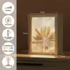 Paardenbloem - Beige - Abstract - Modern - Natuur Light Box met kabel (Tafellamp) klein -USP_NL