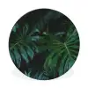 Monstera - Bladeren - Tropisch - Jungle Wandcirkel aluminium klein -3d