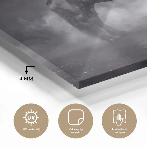 Paard - Magisch - Zwart plexiglas 5mm klein -sfeer2
