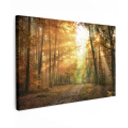 Bos - Herfst - Zon - Landschap - Natuur - Bomen - Bladeren canvas 2cm klein -z3d
