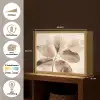 Gedroogde plant - Natuur - Bruin - Planten Light Box met batterij (Wandlamp) middel -USP_websiteoverzichtNL