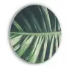 Tropisch - Natuur - Jungle Akoestische PET Vilt - Rond klein -3d
