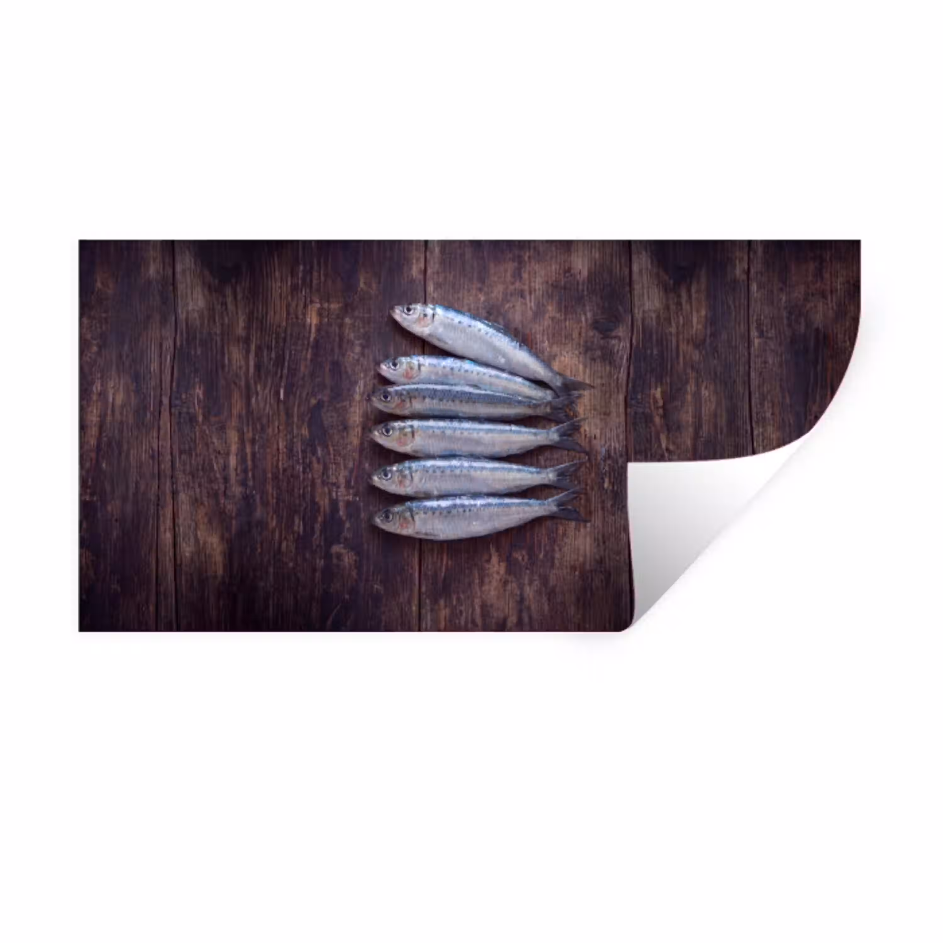 Vis - Hout - Eten Muursticker klein -3d