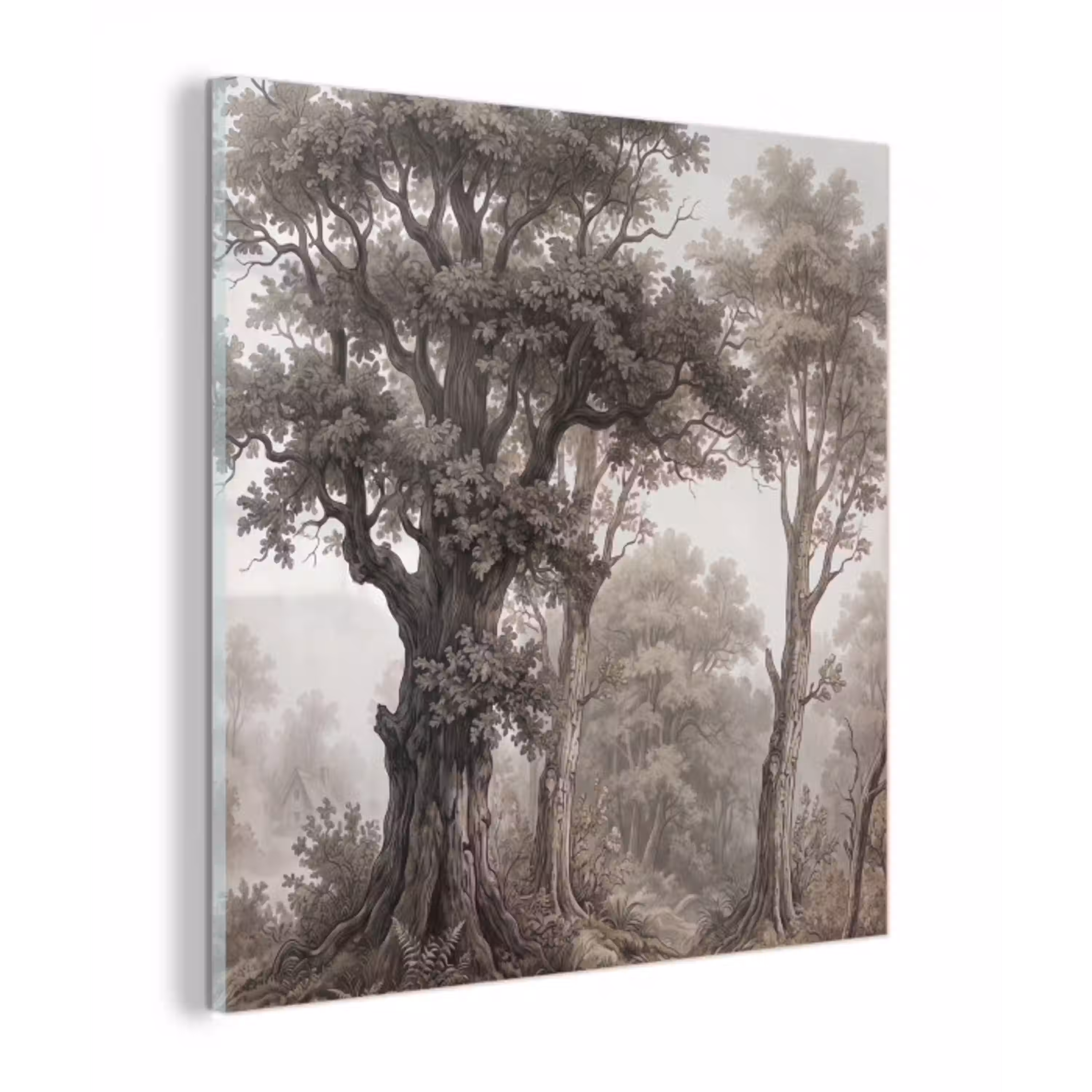 Natuur - Bos - Eik plexiglas 5mm klein -z3d