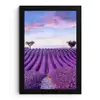 Lavendel - Natuur - Paars - Bomen - Bloemen fotolijst zwart zonder passe partout klein -3d