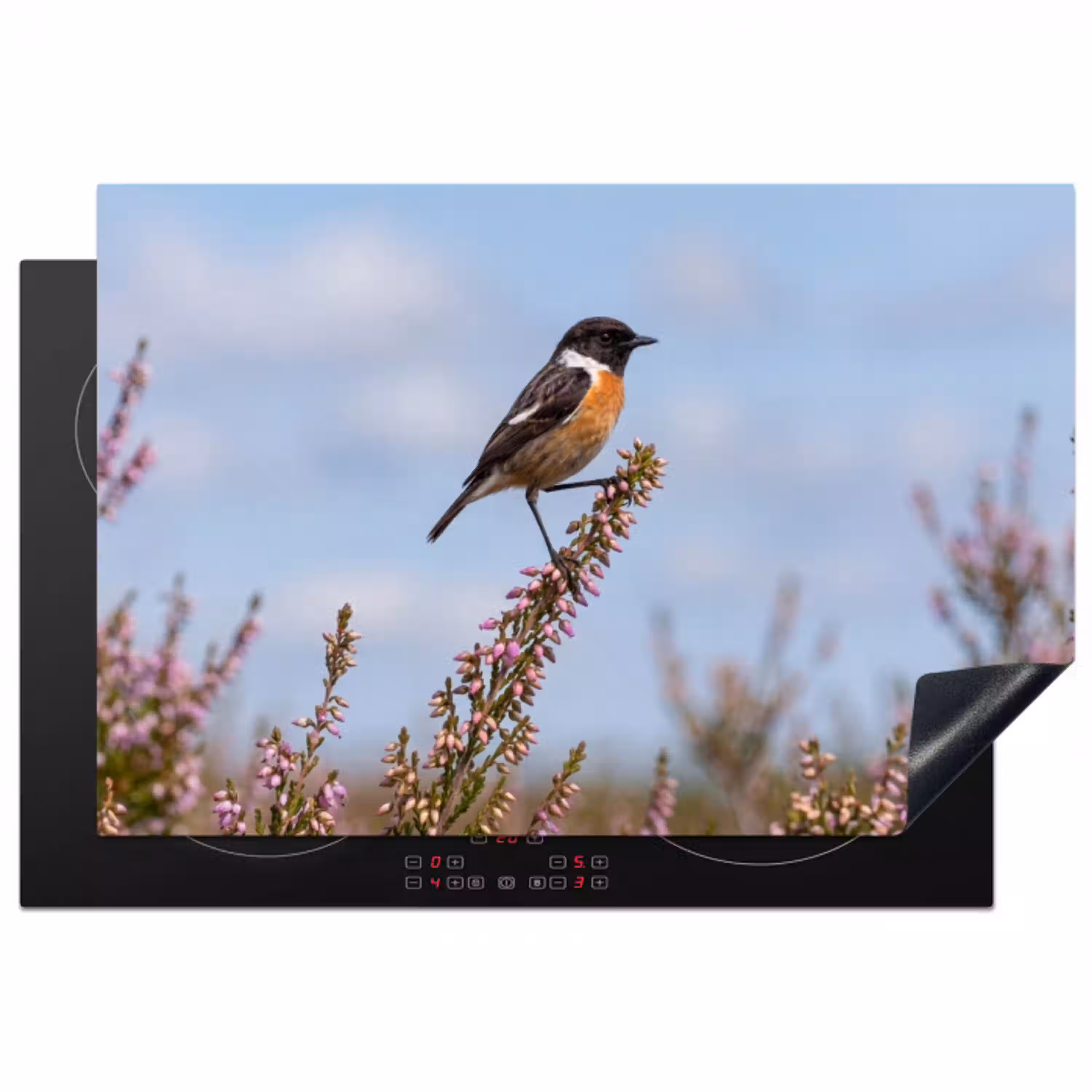 Roodborsttapuit - Heide - Paars - Natuur - Sfeervol Inductie beschermer vinyl 3mm klein -3d
