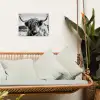 Koe - Schotse hooglander - Zwart - Wit - Dier - Natuur - Wild tuinposter los doek klein -sfeer7