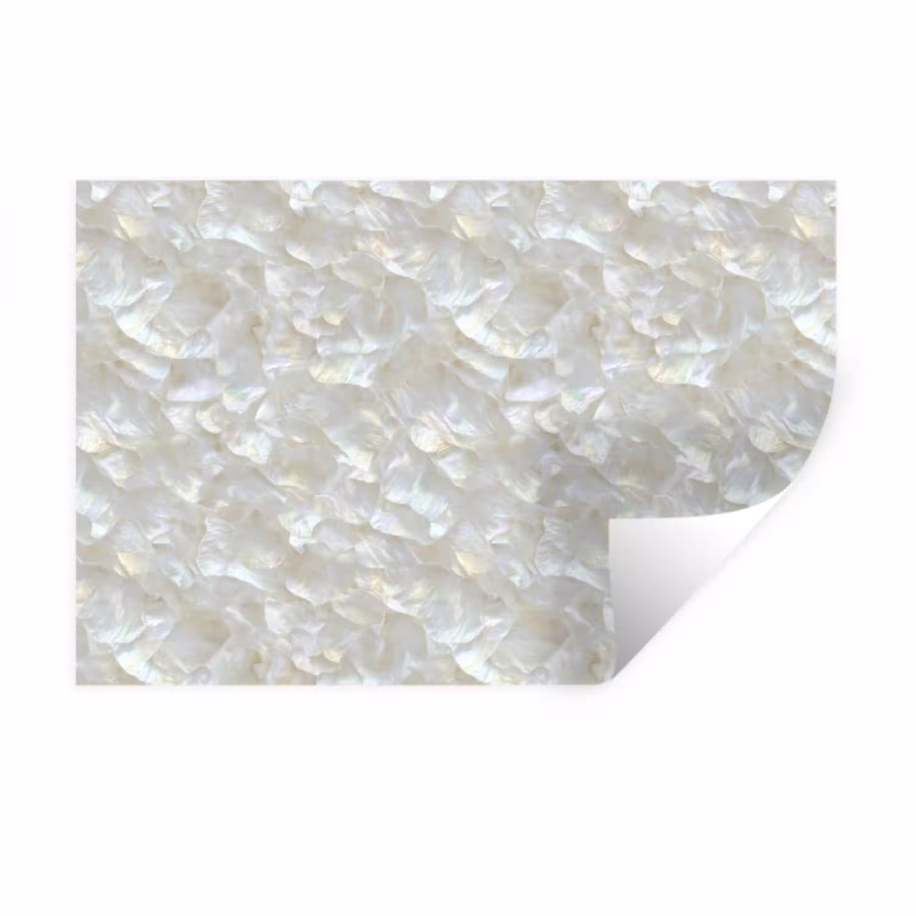 Parelmoerglans - Wit - Schelp Muursticker klein 286 -3d